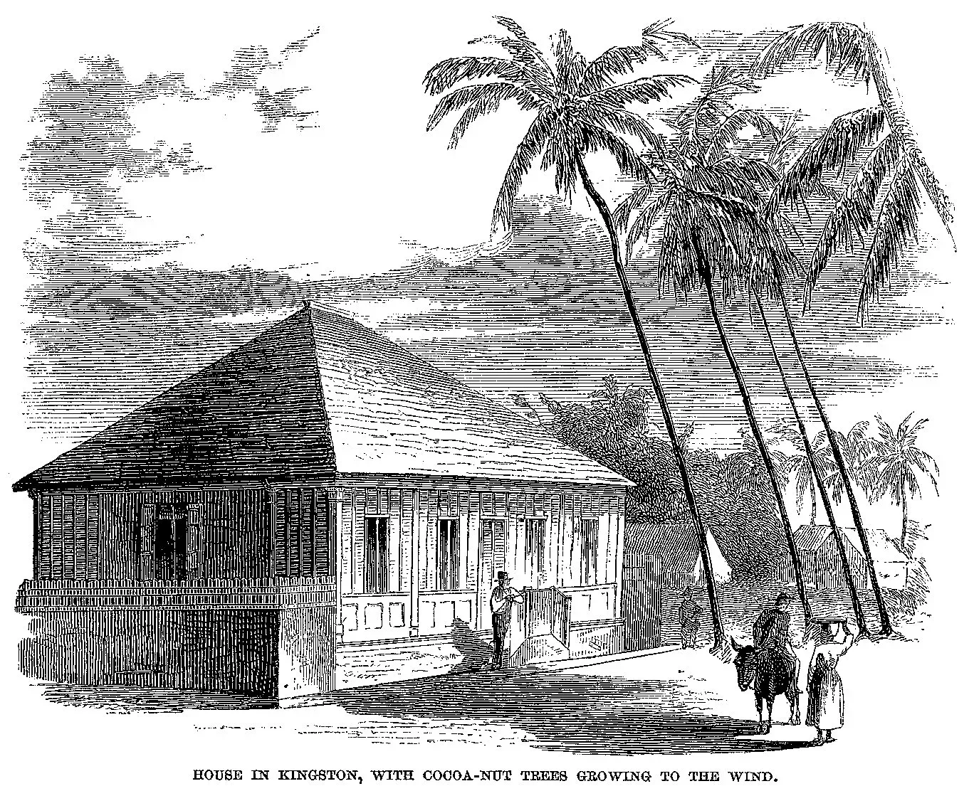 Little Bay Country Club townhouse, Negril photograph 1