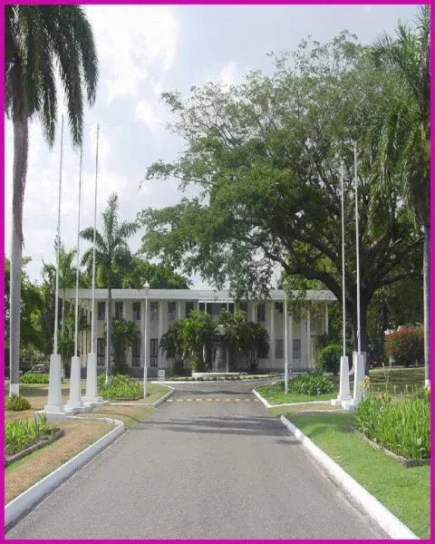 Bloomfield townhouse, Mandeville property view